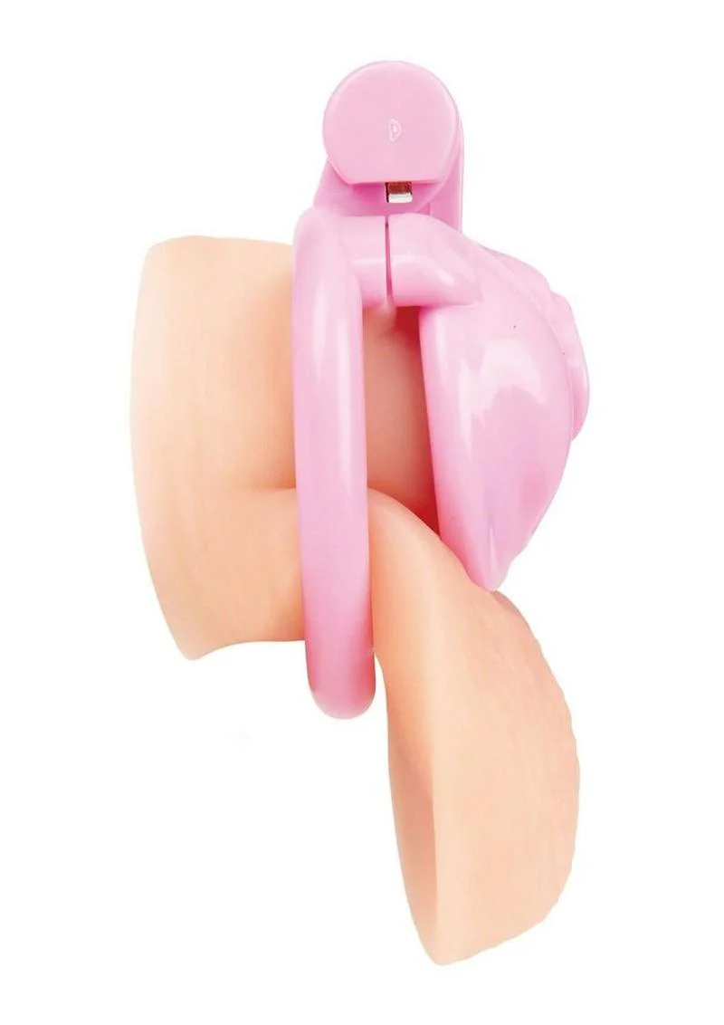 BlueLine Bitchboy Degrading Mini Chastity Cage - Image 2