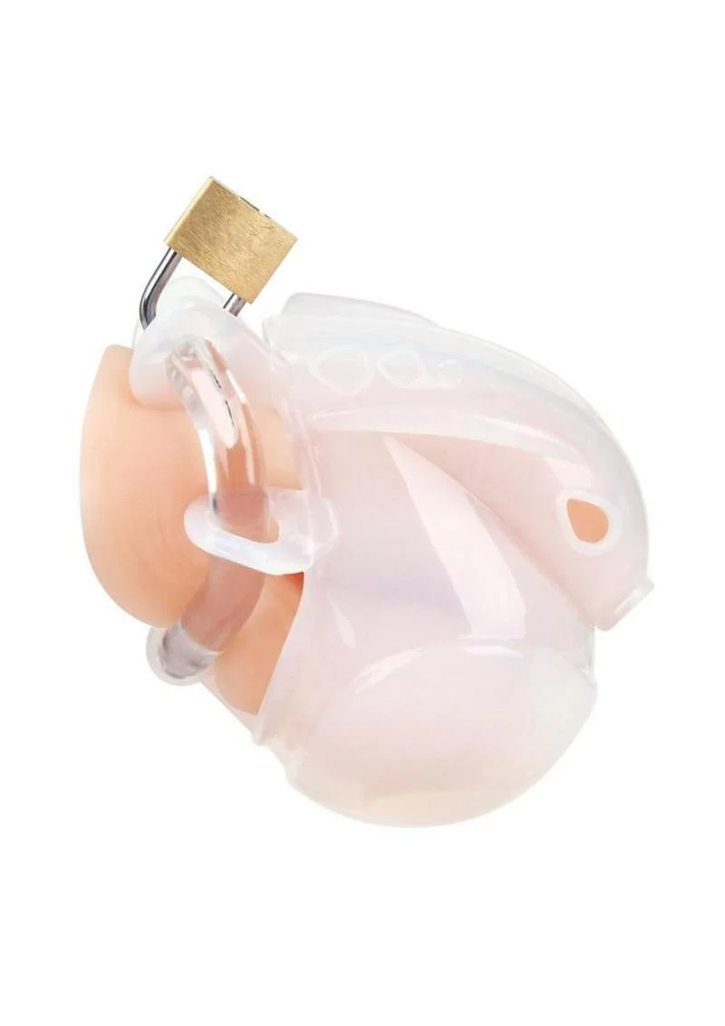 BlueLine Full Restraint Cock and Balls Chastity Device - Image 5