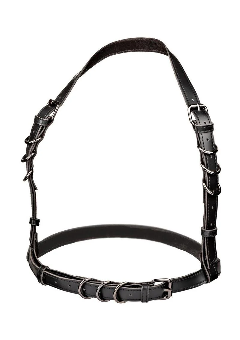 CalExotics Euphoria Plus Size Halter Buckle Harness - Image 2