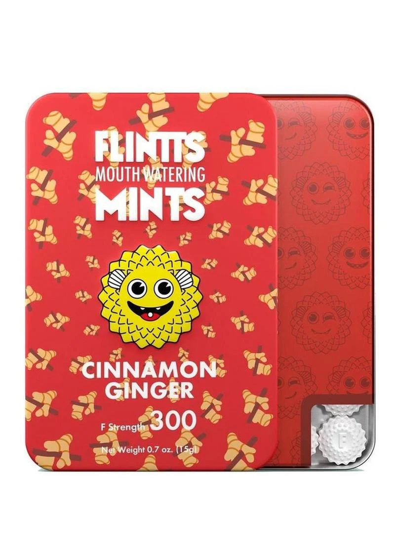 Flintts Mouth Watering Mints Cinnamon Ginger - Image 6