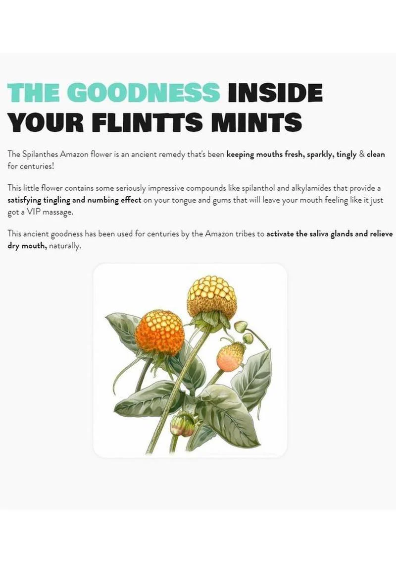 Flintts Sour Tangerine Mouth Watering Mints - Image 2