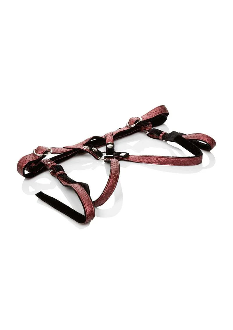 Her Royal Harness The Regal Duchess Crotchless Adjustable Harness - Image 7