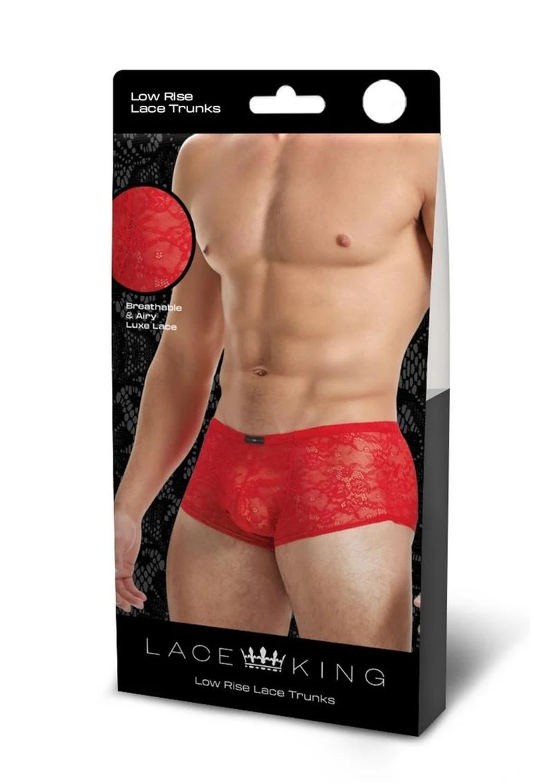 Lace King Low Rise Lace Trunks for Men Sheer Breathable Men’s Underwear - Image 19