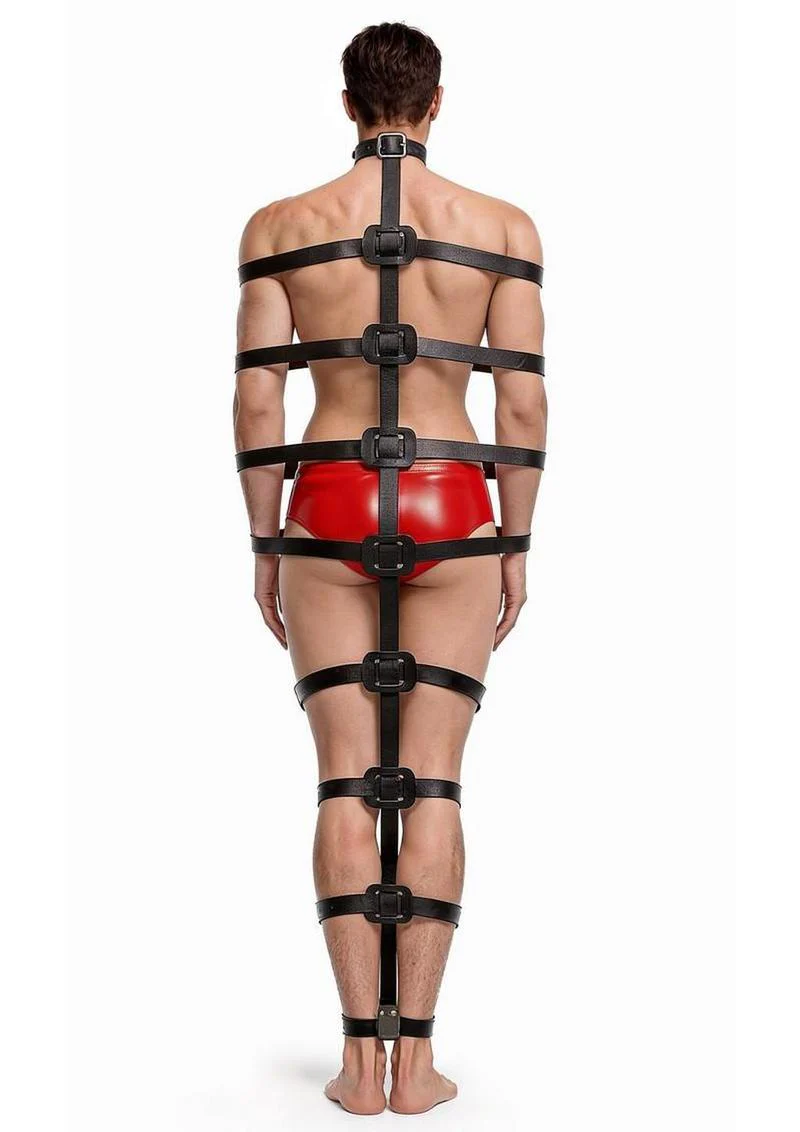 Master Series Backbone Full Body Harness - Image 2