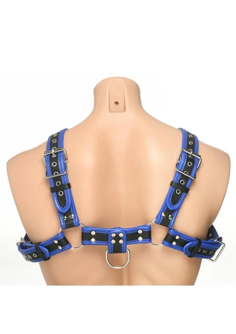 Master Series Bulldog Harness Blue Leather - Image 5