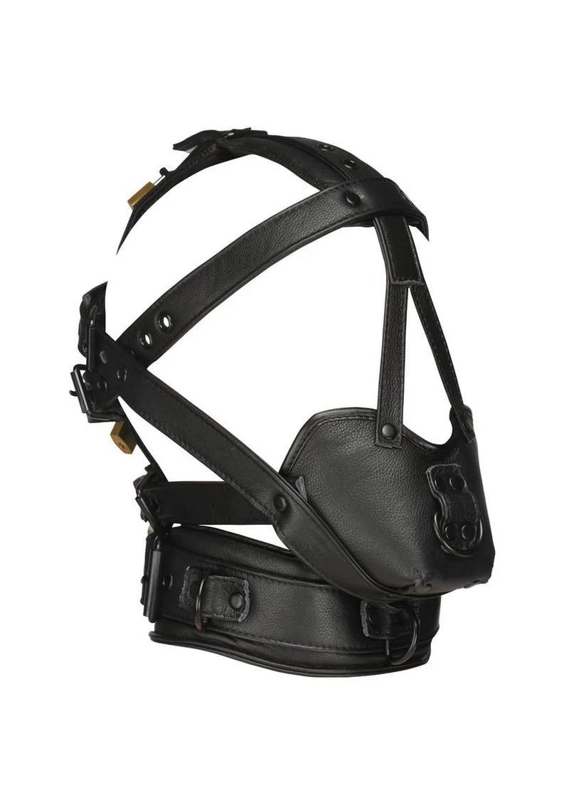 Master Series Leather Head Harness - Image 2