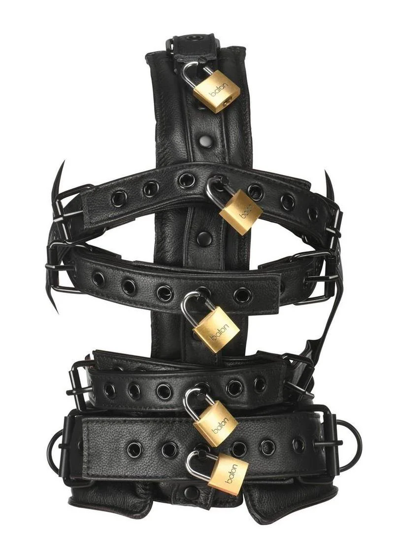 Master Series Leather Head Harness - Image 3