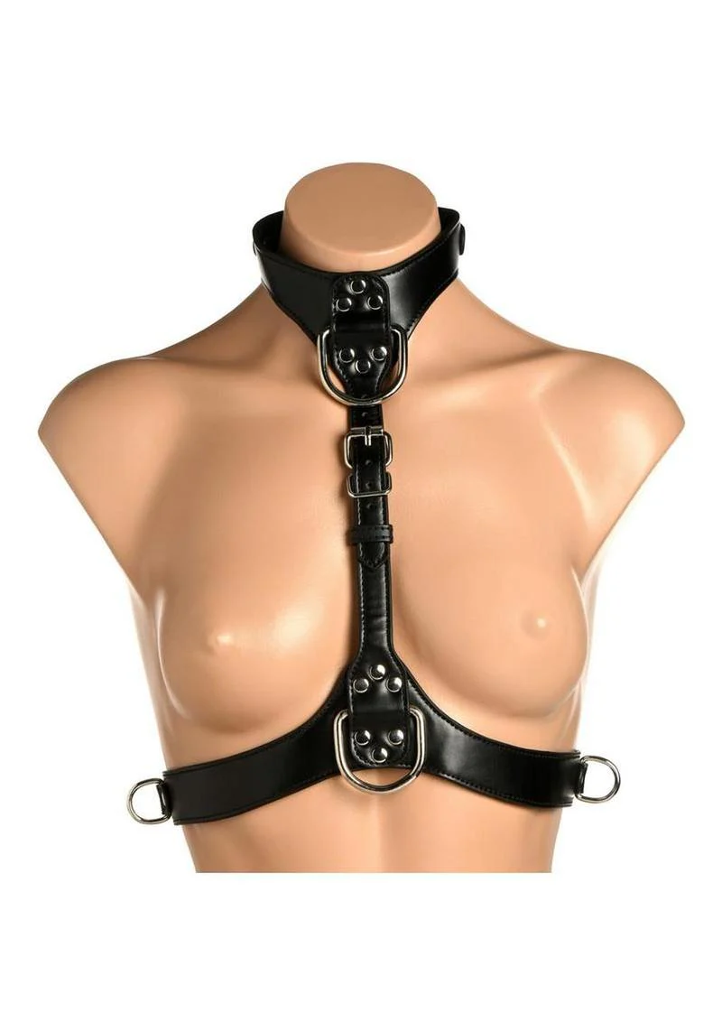 Master Series Vixen Female Chest Harness - Image 2