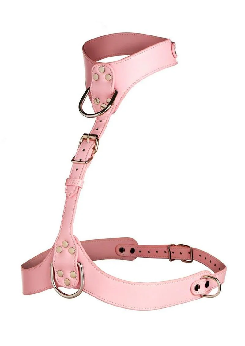 Master Series Vixen Female Chest Harness - Image 4