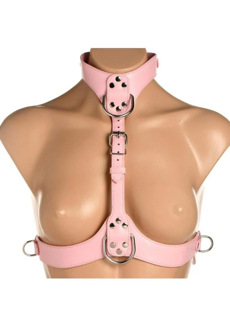 Master Series Vixen Female Chest Harness - Image 5