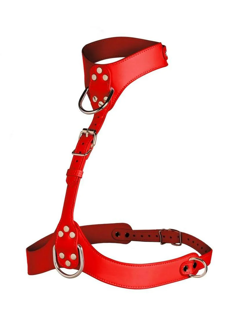 Master Series Vixen Female Chest Harness - Image 7