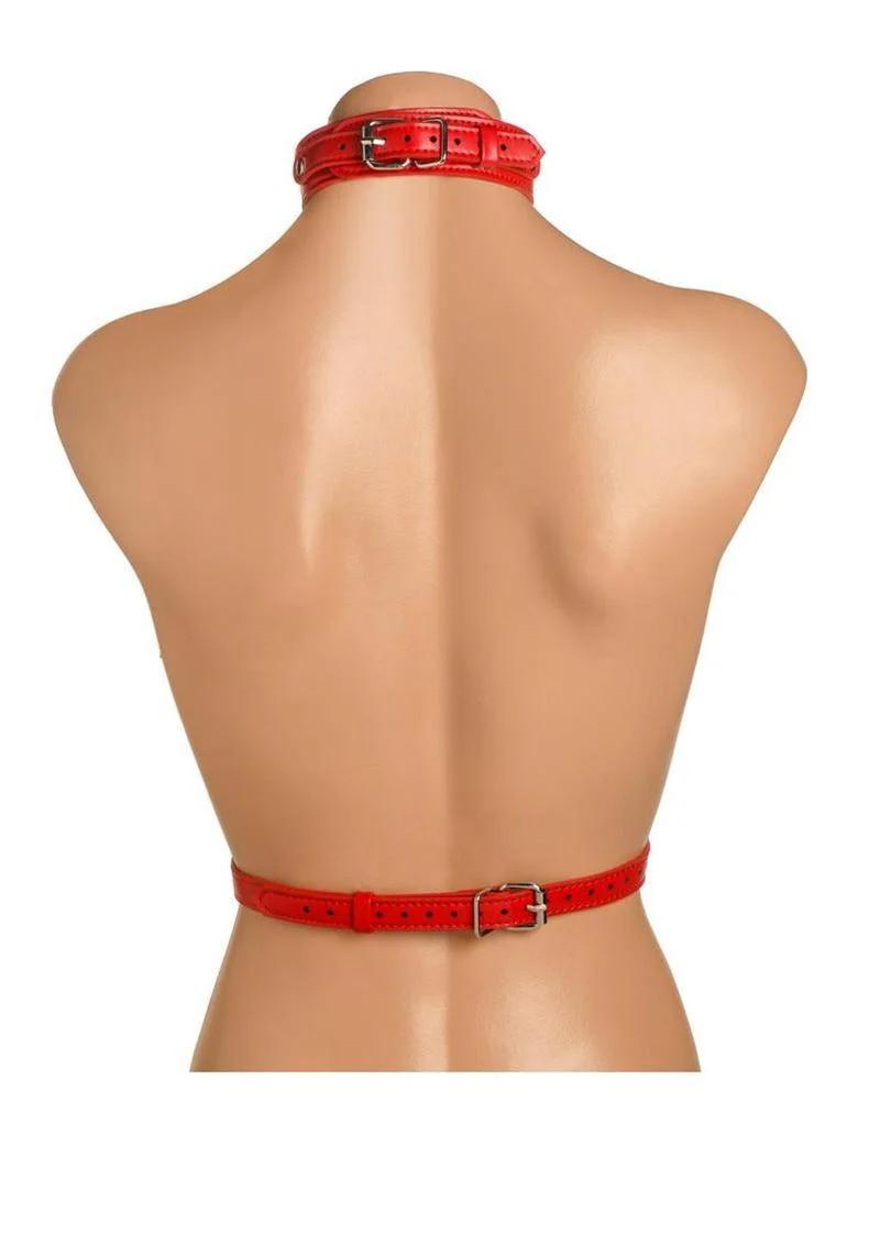 Master Series Vixen Female Chest Harness - Image 9