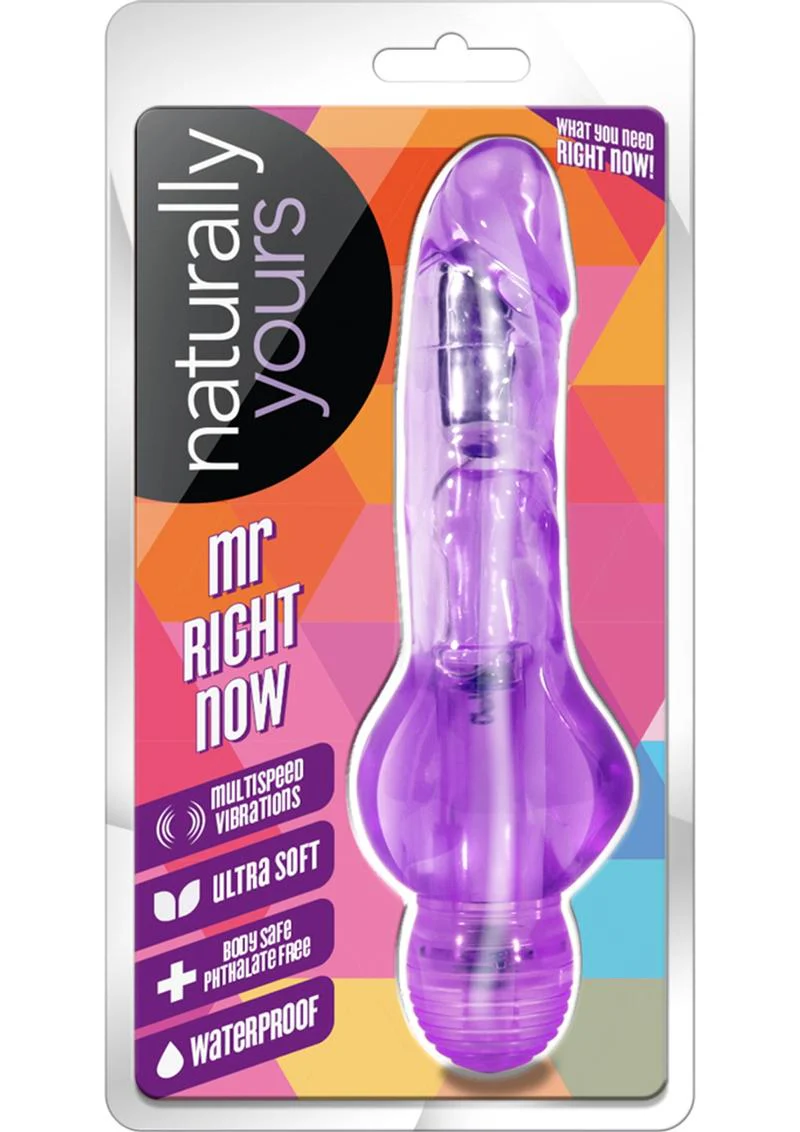 Naturally Yours Mr. Right Now Multi Speed Vibrating Dildo - Image 7