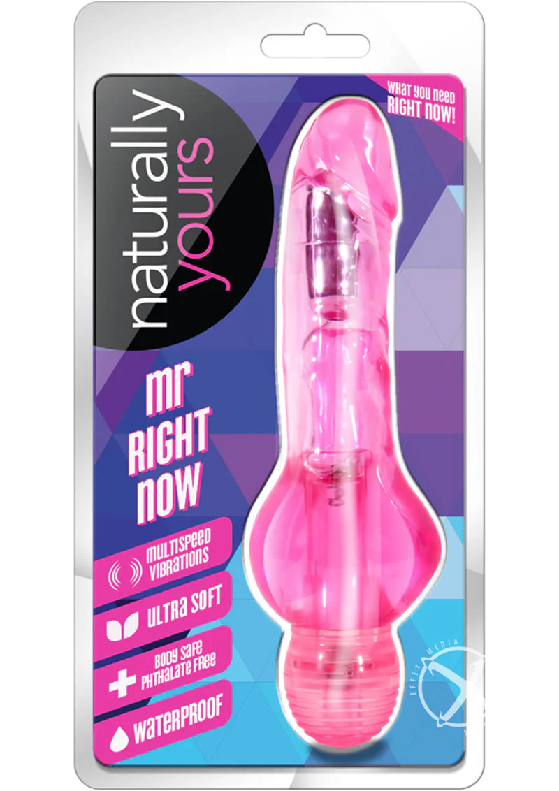 Naturally Yours Mr. Right Now Multi Speed Vibrating Dildo - Image 8