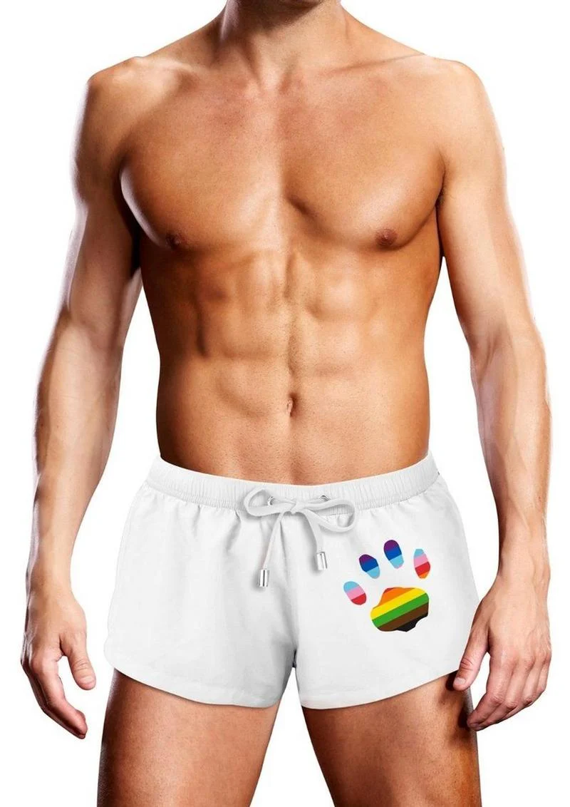 Prowler Oversized Paw Rainbow Swimming Trunk - Image 4
