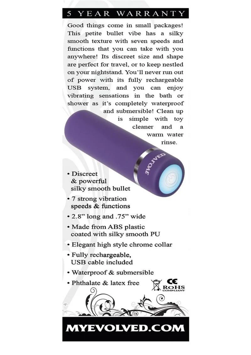 Purple Passion Rechargeable Silky Smooth Bullet Vibrating - Image 3