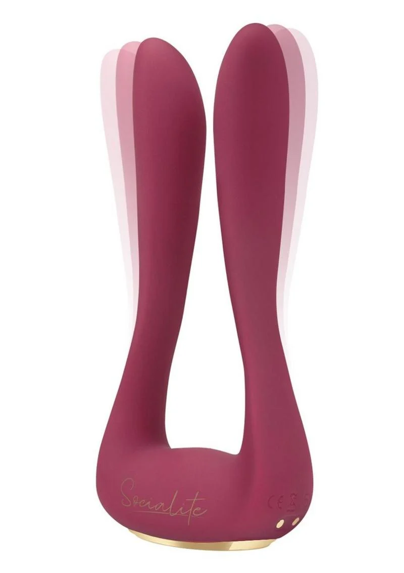 Socialite Marquis DP Vario Vibe Dual Prong Silicone Wonder - Image 3