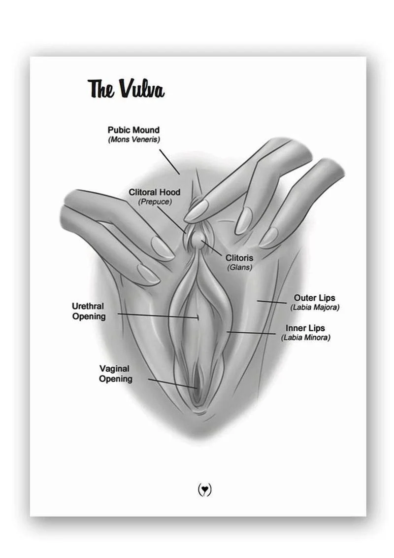 The Mystery of the Undercover Clitoris Touching Orgasmic Fingertip - Image 3