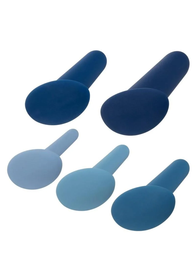 They-ology Wearable Anal Training Set 5-Piece Graduated Silicone - Image 2