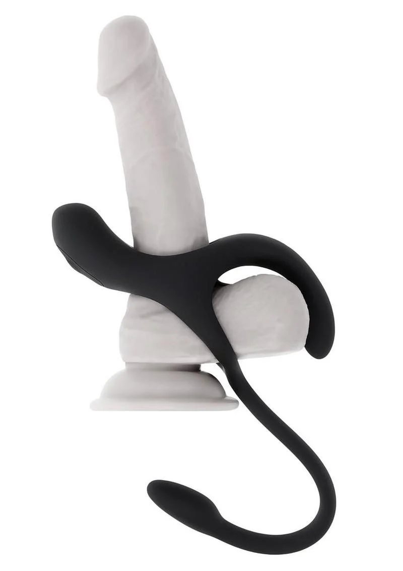 Zero Tolerance All the Bases Couples Ring and Plug - Image 2